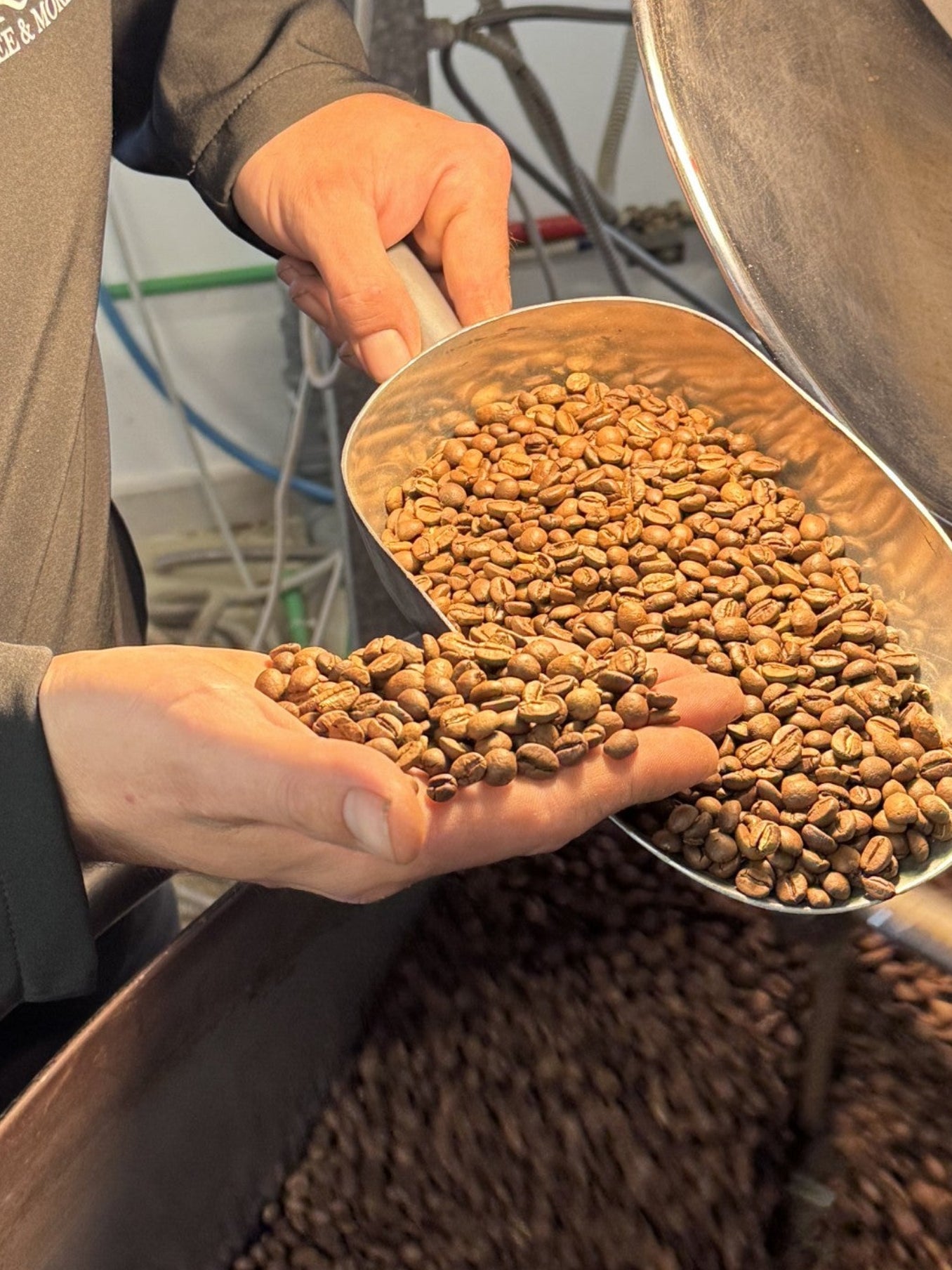 JANZCOFFEE® Gran Crema 250g — Eigenröstung aus Kroatien